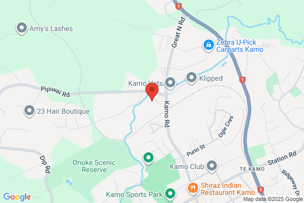 Kamo Scrap Metals Ltd