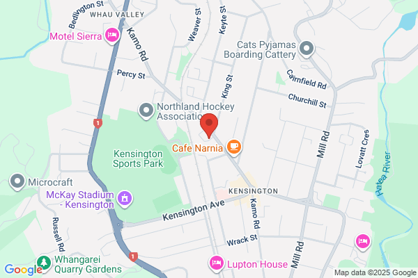Careplus Inc