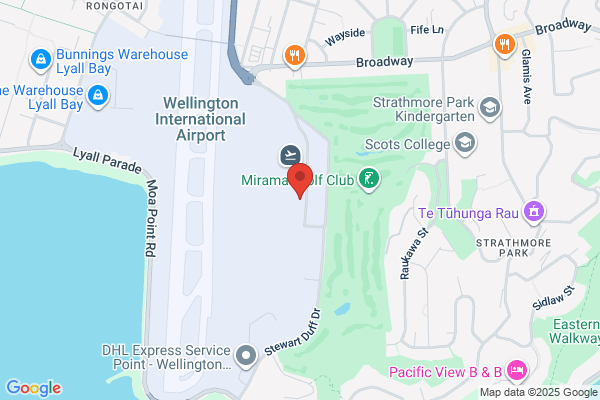 Wellington Carhire