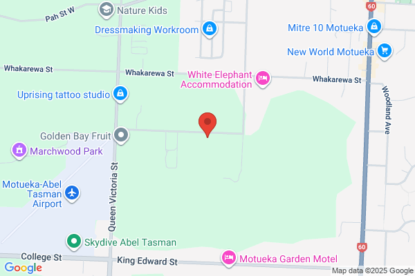Absolute Arboriculture