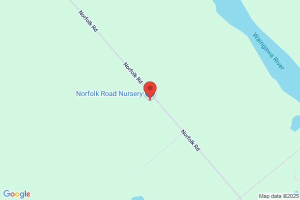 Wairarapa Native Nursery