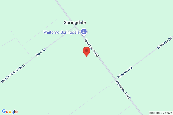 Springdale School