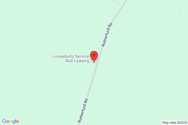 Kintail Lease Bulls