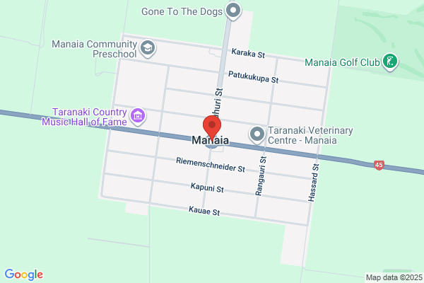 Manaia Four Square