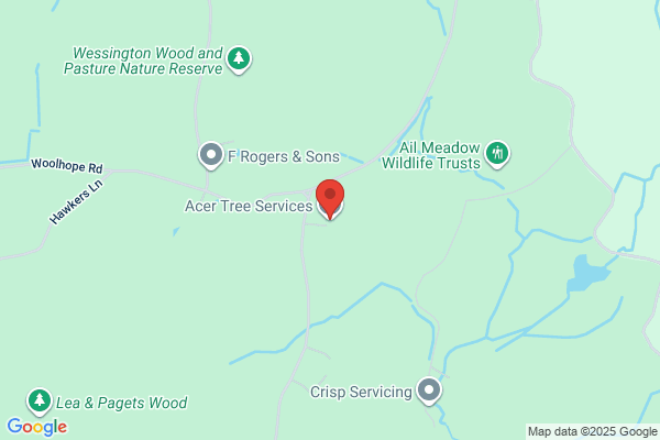 Acer Tree Services