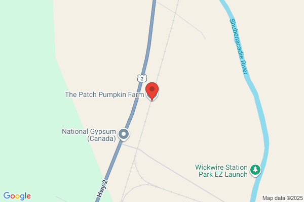 Pumpkin Patch Ltd
