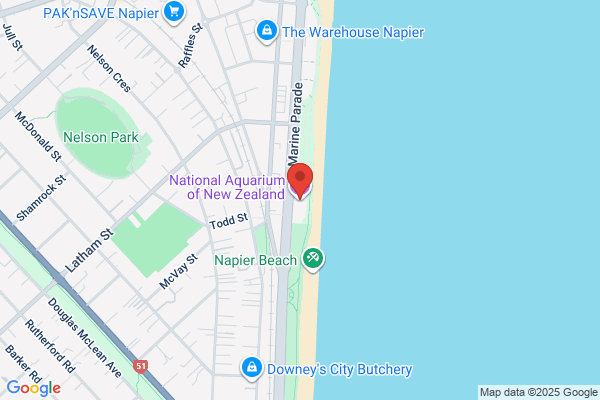 Napier Skydive Ltd