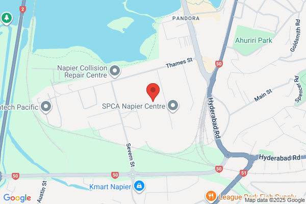 Napier Engineering & Contracting Ltd