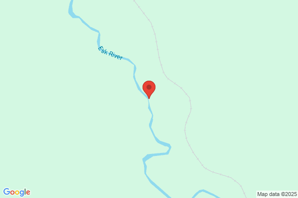 Esk River Shingle