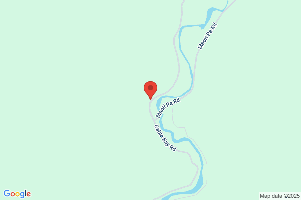 Thorndale Horse Treks