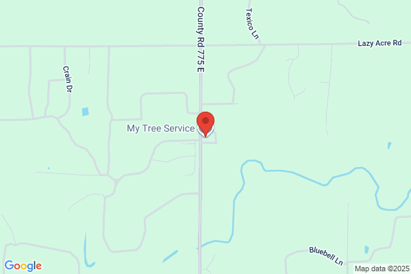 My Tree Services