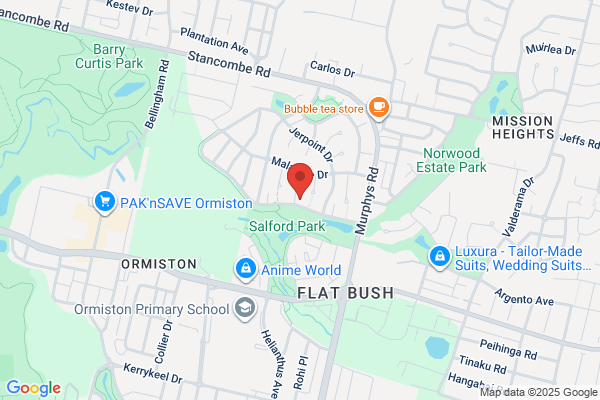 Alert Driving School Auckland