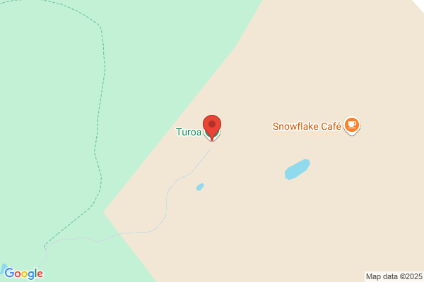 Turoa Ski Area