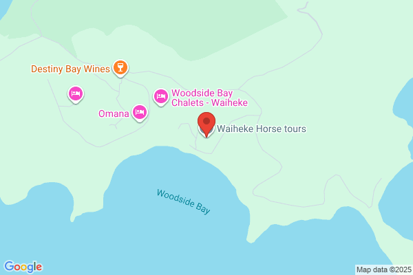 Shepherds Point Riding Centre - Waiheke Island
