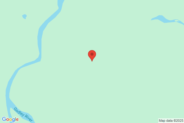 Southern Alps Silviculture