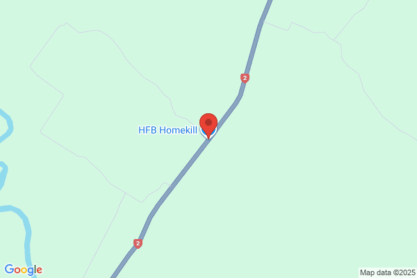 Home Kill 99