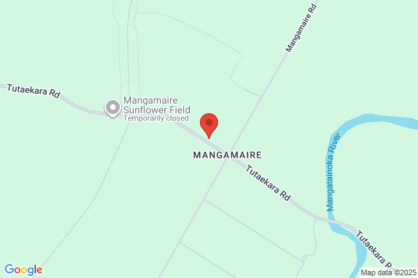 Mangamaire School