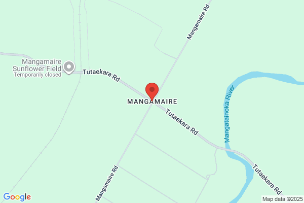 Mangamaire Store