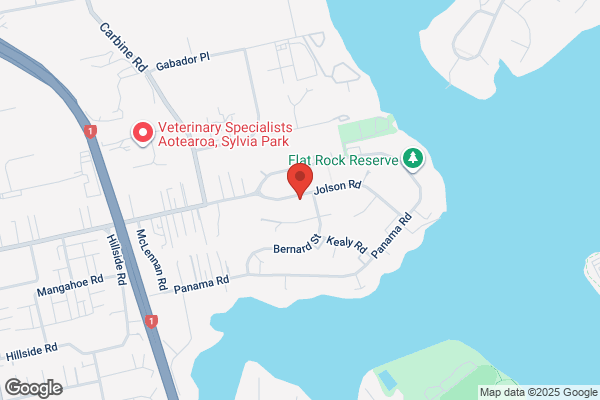 CoinFlip Bitcoin ATM - Panmure London Superette Lotto (Auckland)