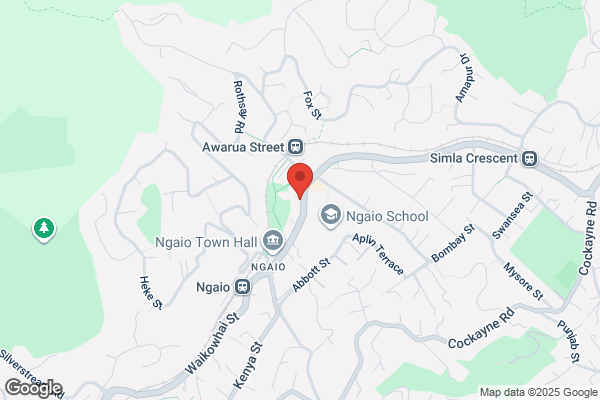 Ngaio Pharmacy Ltd