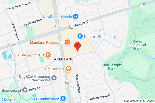 Newmarket Optometrists