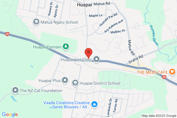 Hairapeutics Clinics