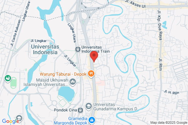 wildbean cafe