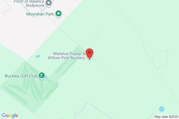 Matatoa Trees & Shrubs