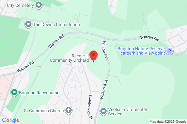 Brighton Orchard Ltd