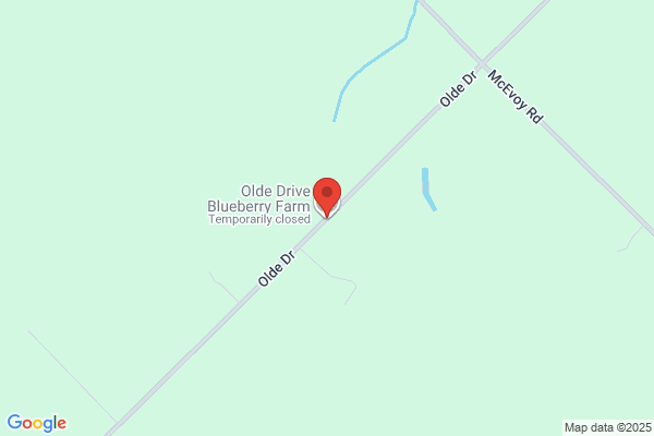 Olde Berry Farm