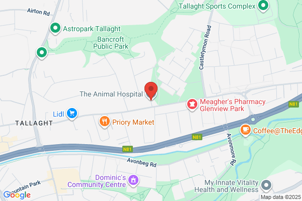 The Animal Hospital