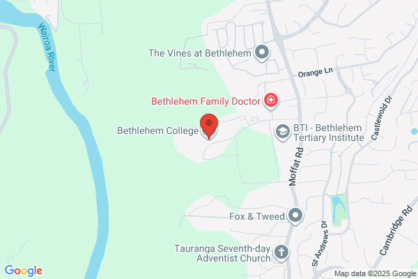 Bethlehem College
