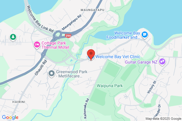 Welcome Bay Veterinary Clinic