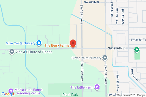 The Berryfarm