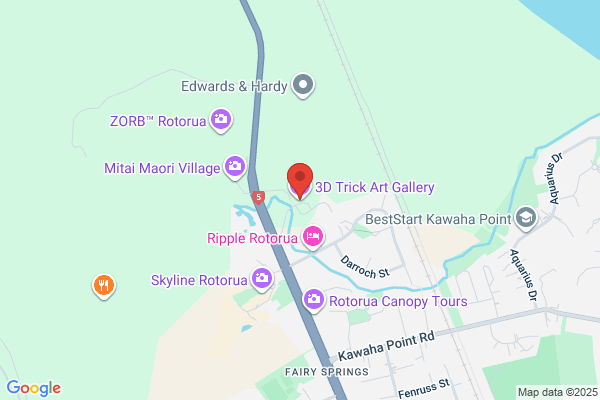 Rotorua Art Agencies