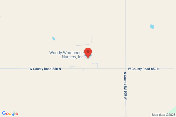 Woody's Warehouse