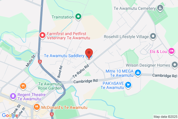 Te Awamutu Saddlers