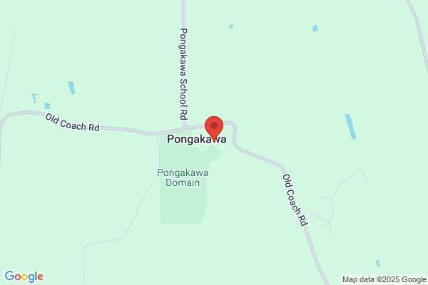 Pongakawa School