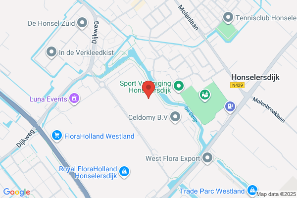Bloomers Flower Wholesalers