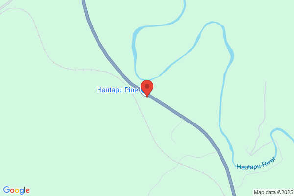 Hautapu Pine Products Ltd