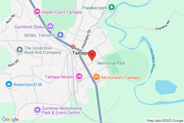 TMS Motors