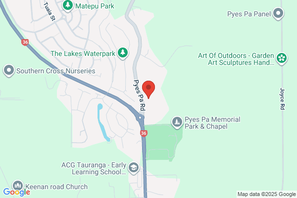 Tauranga Park Funeral Services