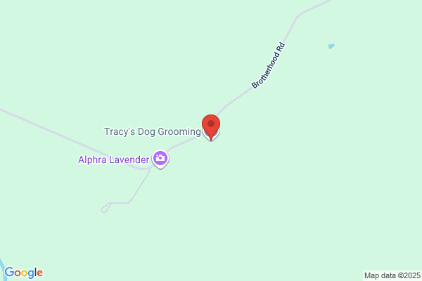 Tracey Lee's Pet Grooming Service