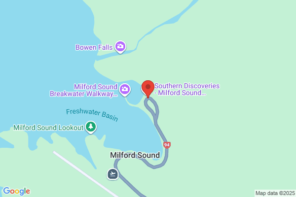 Fiordland Focus