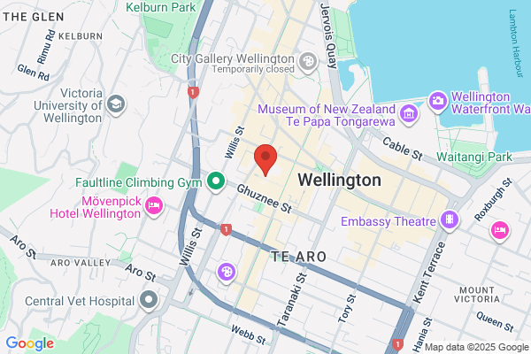 Best Playdough in Wellington