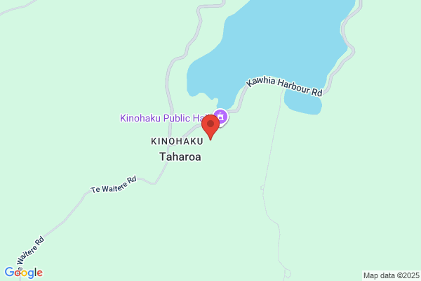 Kinohaku School