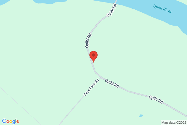 Opihi Vineyard