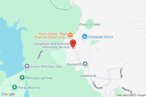 Laingholm & Districts Veterinary Service
