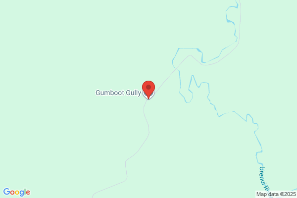 Gumboot Gully