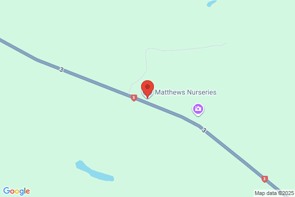 Matthews Nurseries Ltd